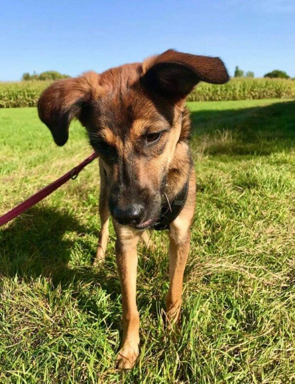 Bonita in 82223 Eichenau – Bild 3