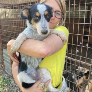 PHOEBE - reserviert TINO - vermittelt