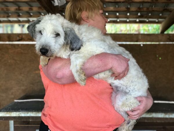 MEGGY - auf Pflegestelle in PLZ 1 - vermittelt – Bild 3