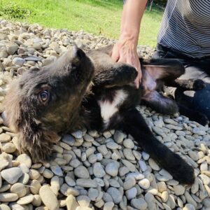 ARKANI - RBB 12/2021