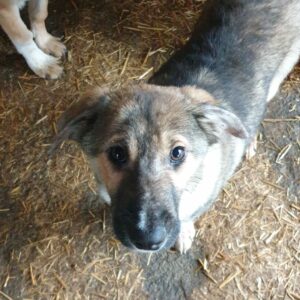 MANURY - reserviert IH DR (12.01.) - vermittelt