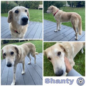 Shanty in 69123 Heidelberg *vermittelt*