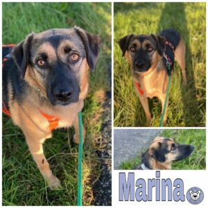 Marina in 18311 Ribnitz-Damgarten