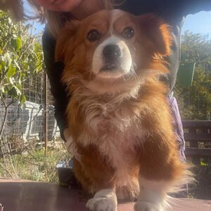 COKIE - RBB 20.11.21