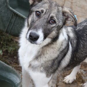 DEENAH - reserviert Manuela vermittelt