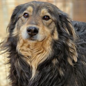 EROS - reserviert NadineH vermittelt