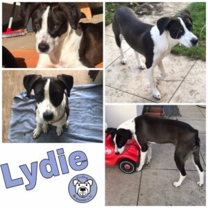 Lydie in 92318 Neumarkt *vermittelt*