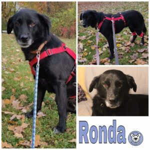 Ronda in 96052 Bamberg *vermittelt*