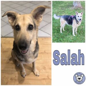 SALAH - RBB 31.03.2022