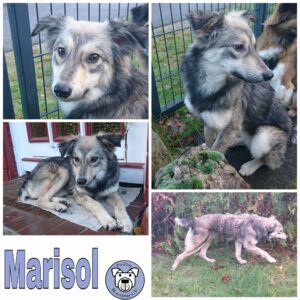 Marisol in 24811 Brekendorf *vermittelt*