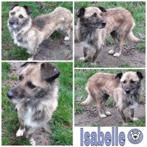 Isabelle *vermittelt*