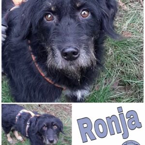 Ronja *vermittelt*