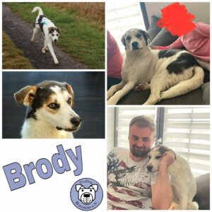 Brody in 53909 Zülpich *vermittelt*