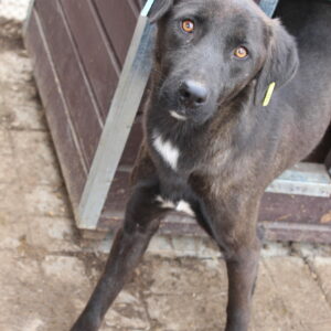 PAT - vermisst 04/2022