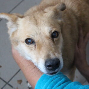 GWYNEIRA - RBB 02/2022