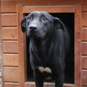 MACY - auf PDR PS im PLZ Bezirk 73 *ausgereist*