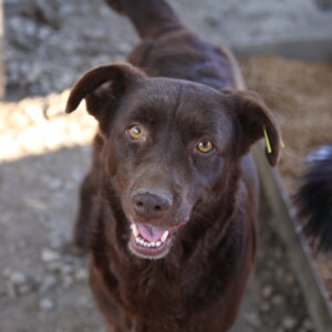 ELEN - vermisst 02/2022