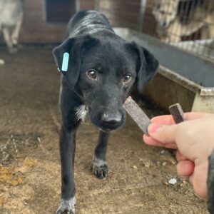 MIENA - vermisst 11/24