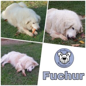 FUCHUR - RBB 09.05.2022