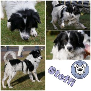 Steffi in 21493 Möhnsen