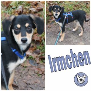 Irmchen in 27299 Etelsen