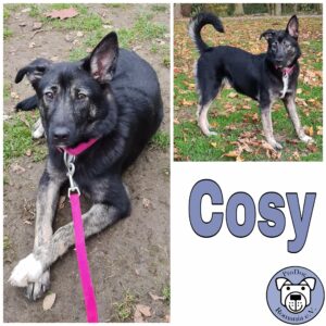 Cosy in 47441 Moers *vermittelt*