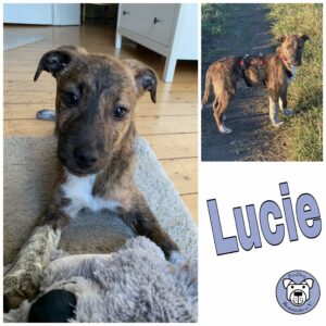 Lucie in 56564 Neuwied