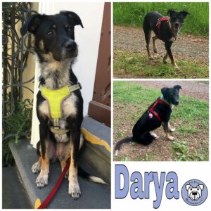 Darya in 35578 Wetzlar