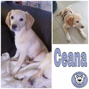 Ceana in 97531 Obertheres