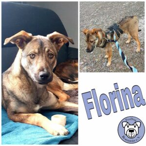 Florina in 58256 Ennepetal