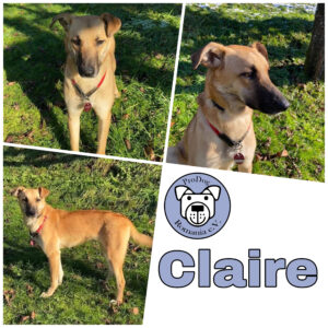 Claire in 88699 Frickingen *vermittelt*