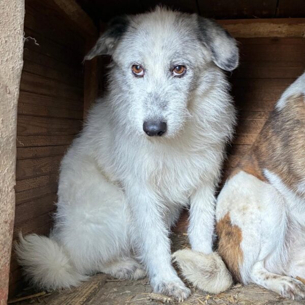 TANAMI (♀) – Bild 4