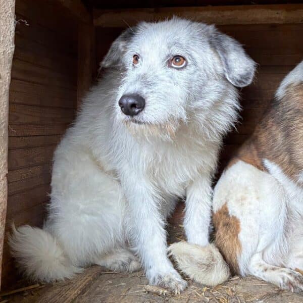 TANAMI (♀) – Bild 2
