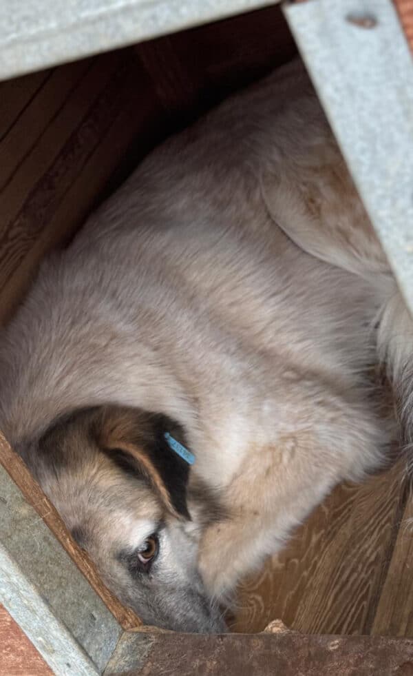 DONNA (♀) – Bild 2
