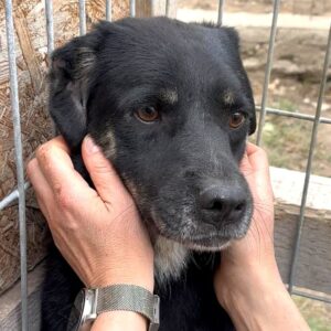 PICO (♂) - seelischer Notfall (09/25)