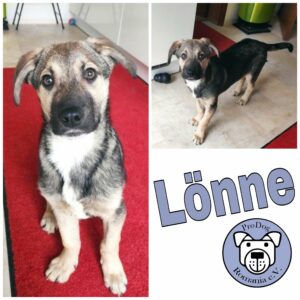 Lönne in 63773 Goldbach *vermittelt*