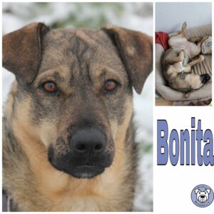 Bonita in 41564 Kaarst *vermittelt*