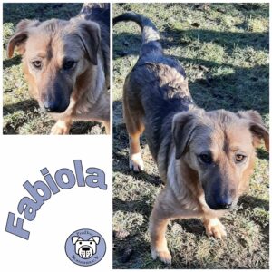 Fabiola *vermittelt*