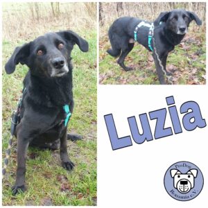 Luzia in 18311 Ribnitz Damgarten *vermittelt*