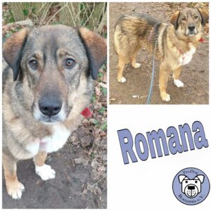 Romana in 18311 Ribnitz Damgarten