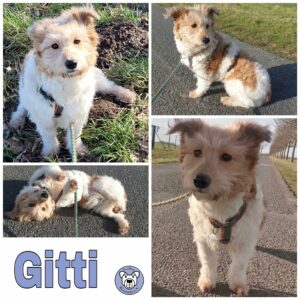 Gitti in 18311 Ribnitz Damgarten