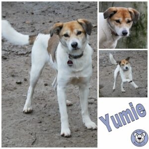 Yumie in 21521 Dassendorf *vermittelt*