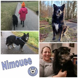 Nimouee in 76337 Waldbronn *vermittelt*