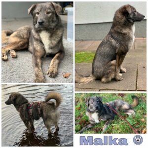 Malka in 45481 Mülheim an der Ruhr