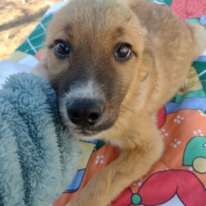 BENDIX - reserviert TH Iserlohn vermittelt