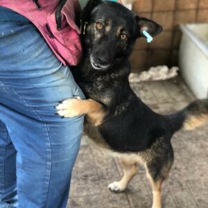 SAMANTHA - RBB 24.10.2022