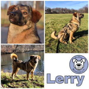 Lerry in 10245 Berlin