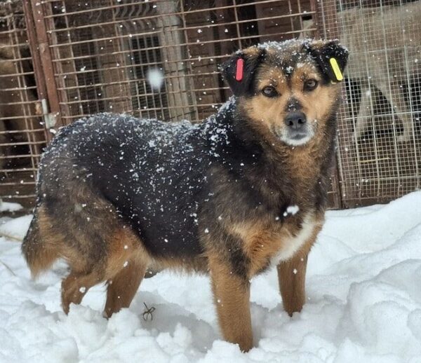 NELLY (♀) – Bild 3