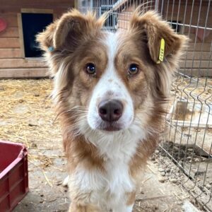 LINELLO - reserviert Manuela vermittelt