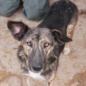 KABA - reserviert VPS vermittelt vermittelt
